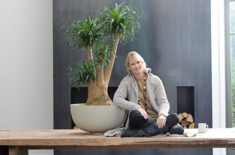 01_Beaucarnea2_800x532