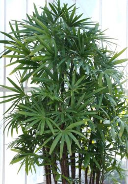 4778686794b236cdf3d092