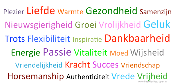 gelukkignieuwjaar2013