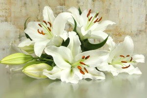 rouwbloemen-leliesbegrafenis-uitvaart
