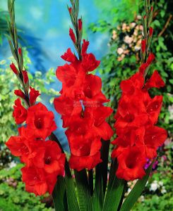 179497_main_large hunting song