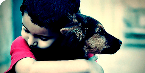 fef9e6b656673591aef2656d82328c70