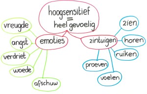 Hoogsensitief-spin