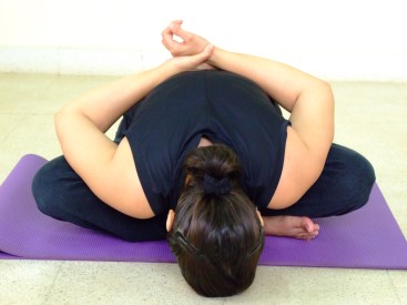 asanas-154 mudra
