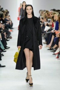 Dior-RF14-1286_img500 2