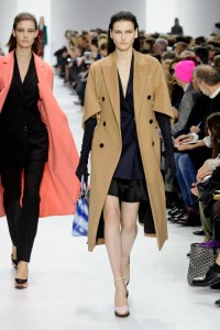 Dior-RF14-1324_img500 4