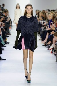 Dior-RF14-1372_img500 9