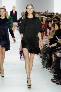 Dior-RF14-1442_img500 14