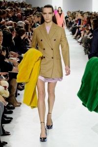 Dior-RF14-1479_img500 17