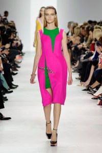 Dior-RF14-1498_img500 19