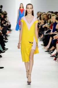 Dior-RF14-1510_img500 20