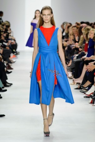 Dior-RF14-1521_img500 21