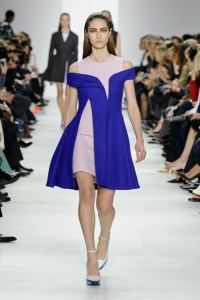 Dior-RF14-1535_img500 22