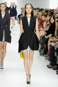 Dior-RF14-1555_img500 23