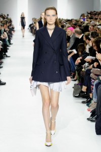 Dior-RF14-1591_img500 26