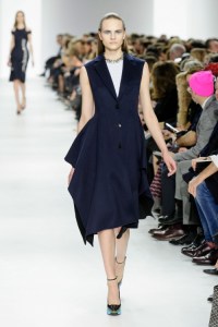 Dior-RF14-1596_img500 27