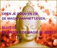 c11f4c56e4847ea5a5eb9b47b4f0df76