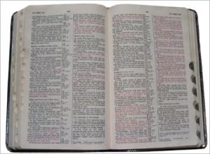bible_480