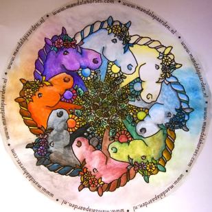 mandala paarden