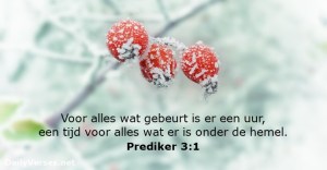 prediker-3-1