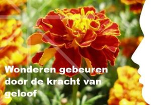 5afad67d9b9eb91942ae77aada15debd