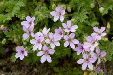 1343977693-650670529