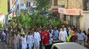 04-03_palm_2