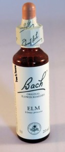 bach-bloesem-remedie-nr_-11-elm-_-veld-iep_83_0