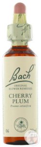 bach-flower-remedie-06-cherry-plum-kerspruim-20ml