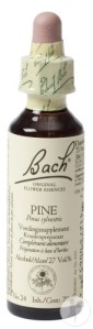 bach-flower-remedie-24-pine-grove-den-20ml-1