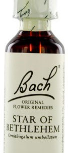 bach-flower-remedie-29-star-bethlehem-vogelmelk-20ml-135x300