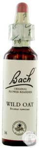 bach-flower-remedie-36-wild-oat-ruwe-dravik-20ml