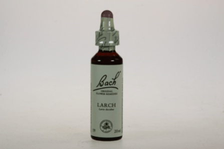 larch_large