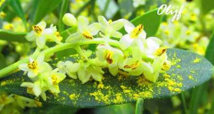 post-561-0-43150700-1401362467_thumb