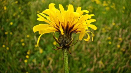 0aaabb0ab69c4085abf1308f03ae2ad0