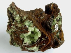 verzameling_010