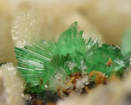 Annabergit; Bildbreite: 3,5 mm; Fundort: Km 3, Lavrion, Attika, Griechenland; https://www.mineralienatlas.de/lexikon/index.php/Bildanzeige?pict=1237492905