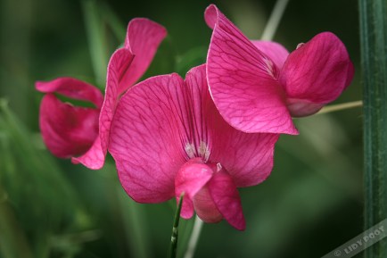 img_9303-gr-aardaker