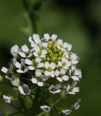 kroddewitte-100523-285